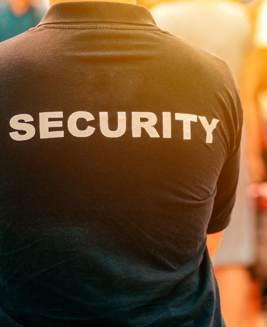 A person wearing a black T-shirt with "SECURITY" written in white letters on the back stands in a sunlit outdoor setting, surrounded by a blurred crowd.